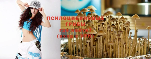 ECSTASY Медвежьегорск
