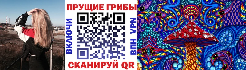 Купить где  Рязань  Галлюциногенные грибы Magic Shrooms 